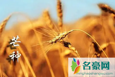 ​2022芒种后九天交运包括当天吗1