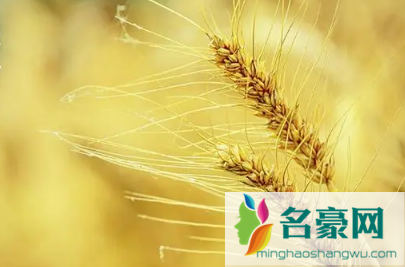 ​2022芒种后九天交运包括当天吗3