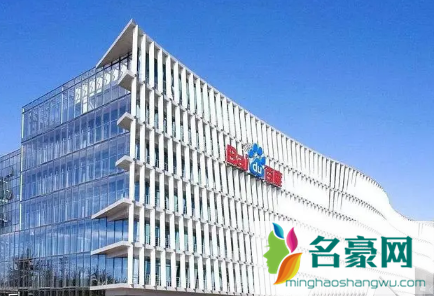 百度大字版真能赚到钱吗是不是骗局2