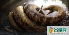 人类已知最大的蛇类（史前塞雷洪泰坦蟒长15米-图片