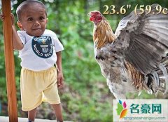 世界上最矮的人琼瑞·巴拉温（两岁就停止生长（身