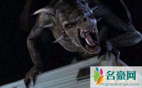 泽西恶魔