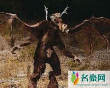 诅咒中诞生恐怖的生物--泽西恶魔-攻击人类的丑陋怪