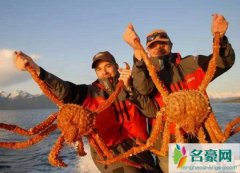 世界上最危险的职业（阿拉斯加捕蟹人5天赚70万/死