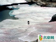 西瓜雪能吃吗（容易引起消化不良现象-生物系统生