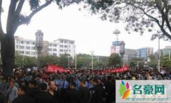 广东茂名事件（社会影响重大、性质恶劣-已经解决