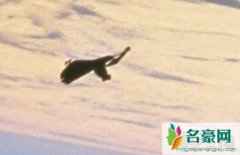 黑骑士卫星真的假的（或许是外星人监控地球所造
