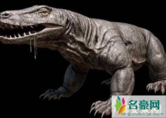 远古古巨蜥有多长（体长4.5米重达331公斤-史前巨兽
