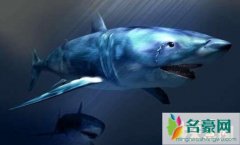 泥盆纪五大恐怖生物（邓氏鱼是地球上百兽之王-海