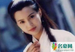 武侠小说最美丽的女子是谁（小龙女如同天上下凡仙