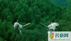 最好看的武侠片（卧虎藏龙最值得一看-动作经典）