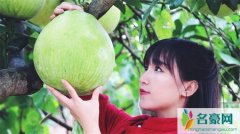 李子柒海外粉丝破千万 李子柒为什么这么火圈粉无