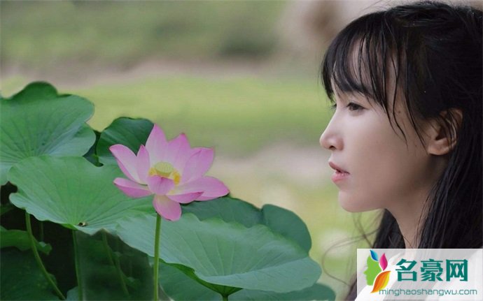 李子柒