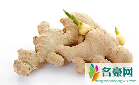 生姜上有白色的绒毛什么情况2