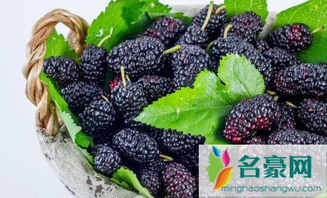 桑葚怎么洗才能干净4
