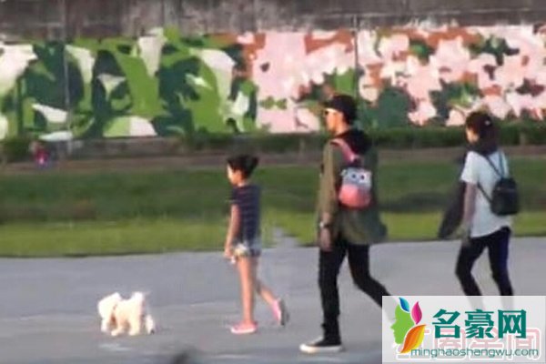 修杰楷贾静雯及梧桐妹遛狗