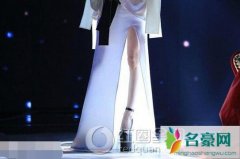 进击的女帝的身份曝光 进击的女帝是王心凌吗