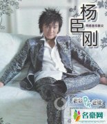 网络神曲缔造者的突围 杨臣刚个人资产上亿