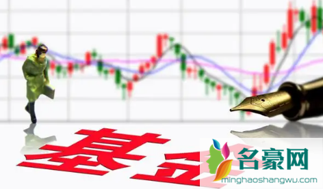 2022年可能暴涨的基金有哪些1