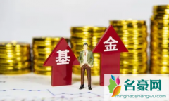 炒基金的女人聪明吗 玩基金的人有钱吗