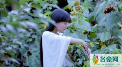 李子柒春日鲜花宴 视频曝光李子柒用鲜花都做出了