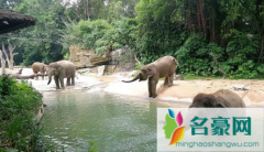 6月份去广州长隆动物园热吗 去广州长隆动物园几月