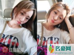 张丹峰经纪人毕滢竟是工作室法人 投资十万持全股
