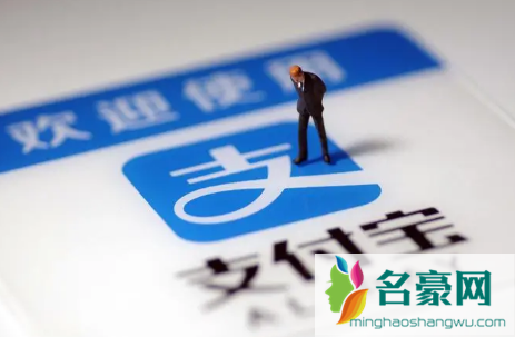 支付宝助农额是什么意思1