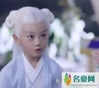 三生三世枕上书白滚滚上线 东华初见白滚滚十分惊