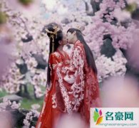月上重火小说叫什么名字 原著讲了一个怎样的故事