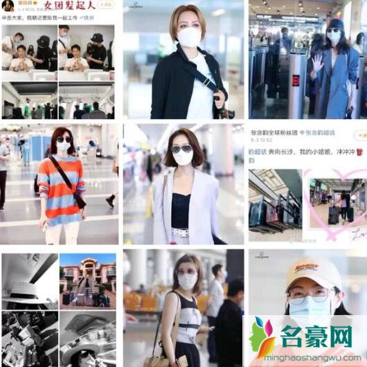 乘风破浪的姐姐选几个出道嘉宾都有谁