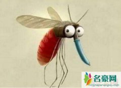 蚊子灭绝了世界会怎样（如果世界上没有蚊子食物链
