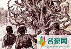 食虫植物食人吗（活久见食虫植物吃东西）