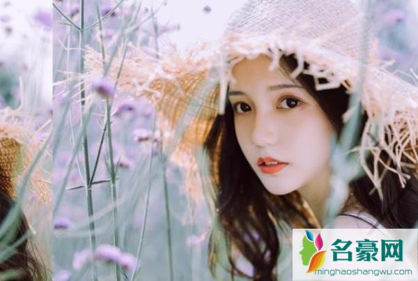 对感情心死的句子