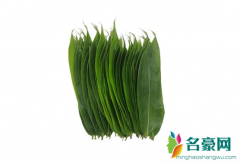 粽叶大的好还是小的好 粽叶怎么煮又软又香