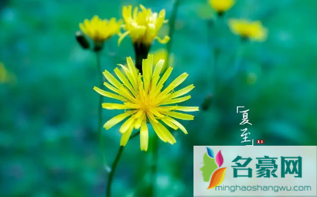 夏至下雨三伏天热吗2
