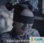 延禧攻略番外思婉格格结局是什么 思婉得到报应了