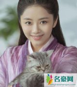 锦衣之下袁今夏是谁的女儿 她的真实身份是什么