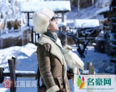 天坑鹰猎张保庆养的白鹰是什么品种 张保庆喜提鹰