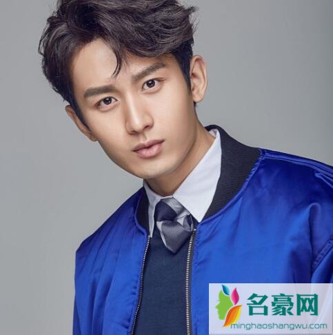 成毅为什么不火