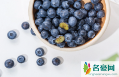 蓝莓哪个品种花青素含量最高 蓝莓花青素的功效与