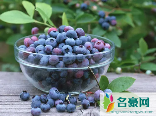 蓝莓表面的白霜是农药残留吗3