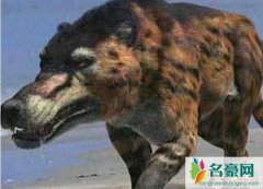 神农架驴头狼的真实图片（驴头狼身的诡异存在）