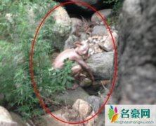 北京惊现人形不明生物（浑身赤裸疑似外星人-见人