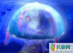 太空发现隐形不明生物（神秘出现后又离奇消失-疑