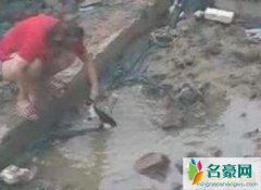 北京男女水坑虐猫事件（数次将猫头强行摁入水中溺
