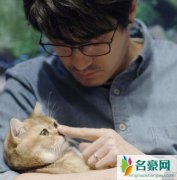 三十而已陈屿人设什么样 陈屿有没有和钟晓芹复婚