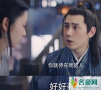 锦绣南歌陆婉和师兄在一起了吗 陆婉是真的喜欢他