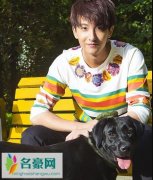 牛骏峰怎么出道的 在实现梦想的道路上永远不会轻