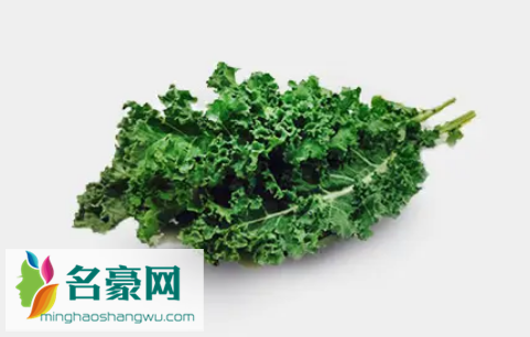 羽衣甘蓝叶可以生吃吗1